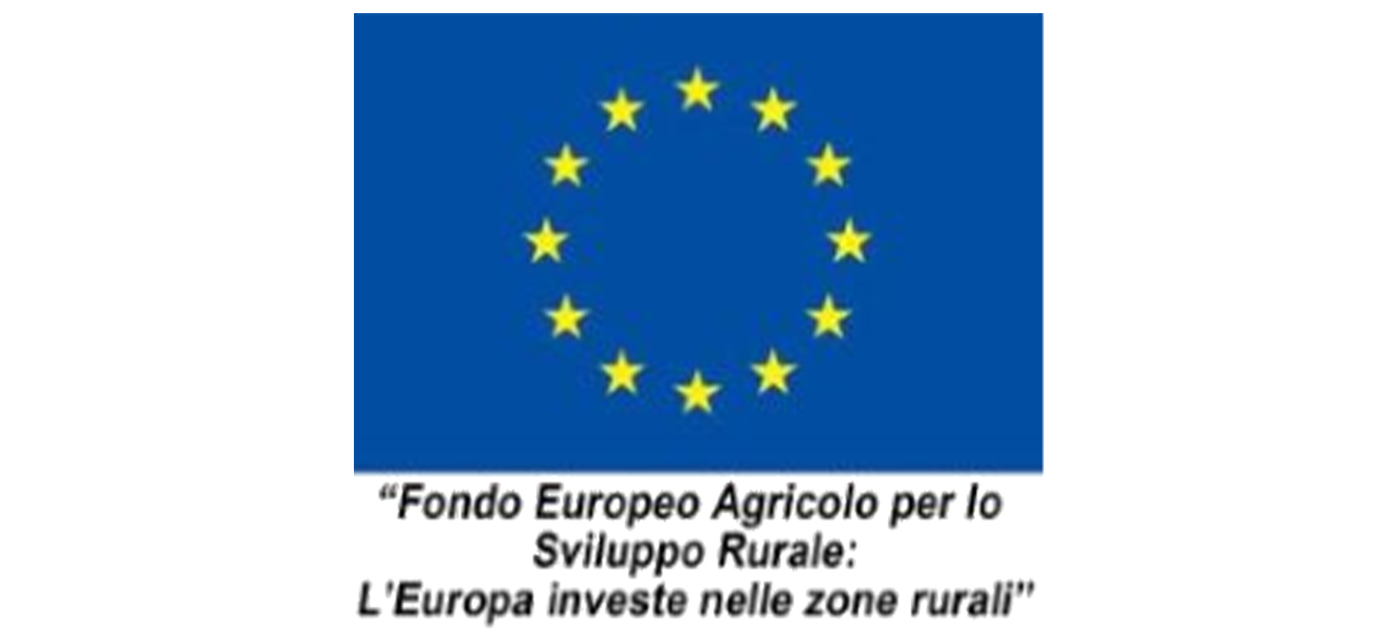 Logo UE-FEASR